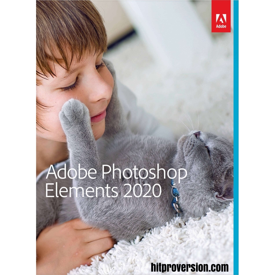 adobe photoshop elements 12 update download